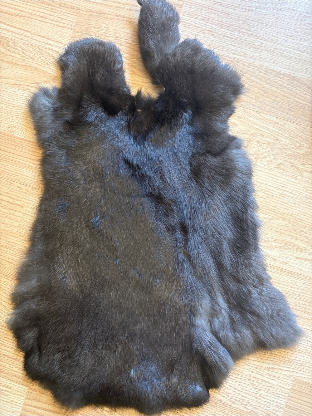 B0184 rabbit pelt